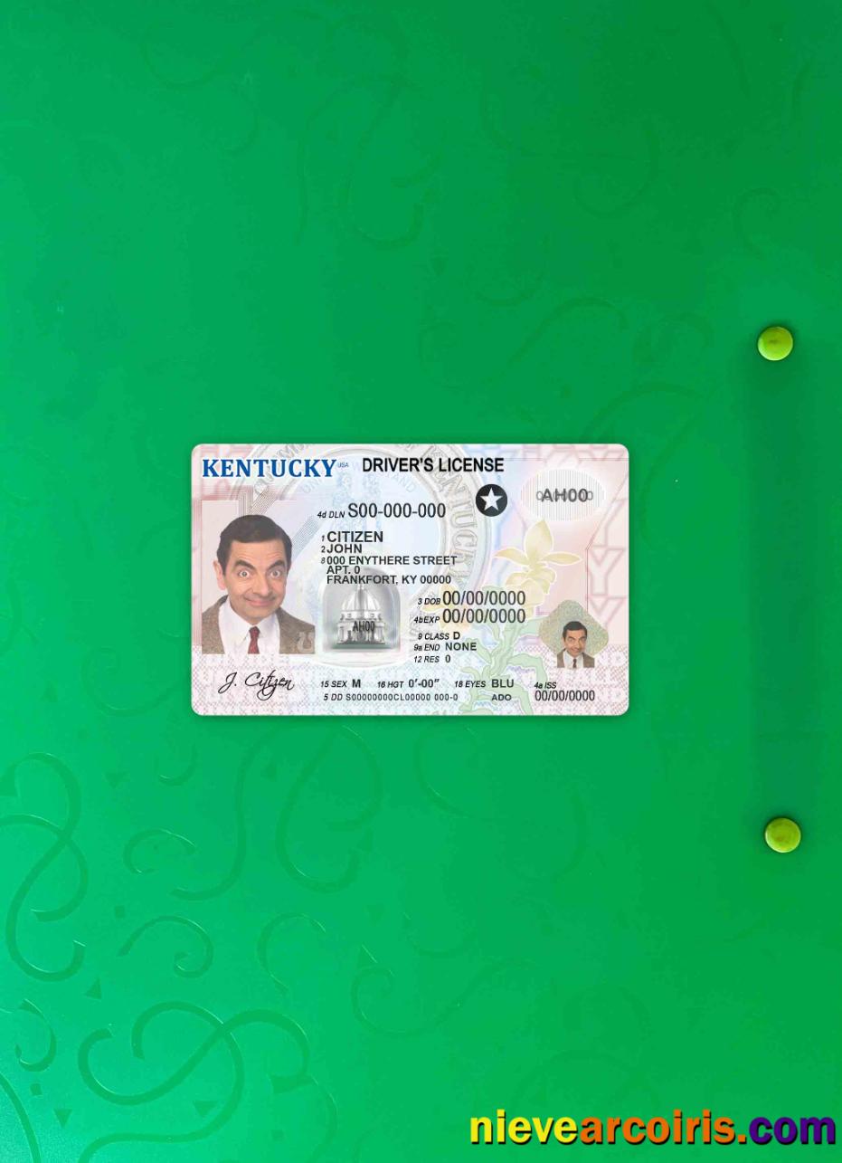 USA Kentucky driving license photolook